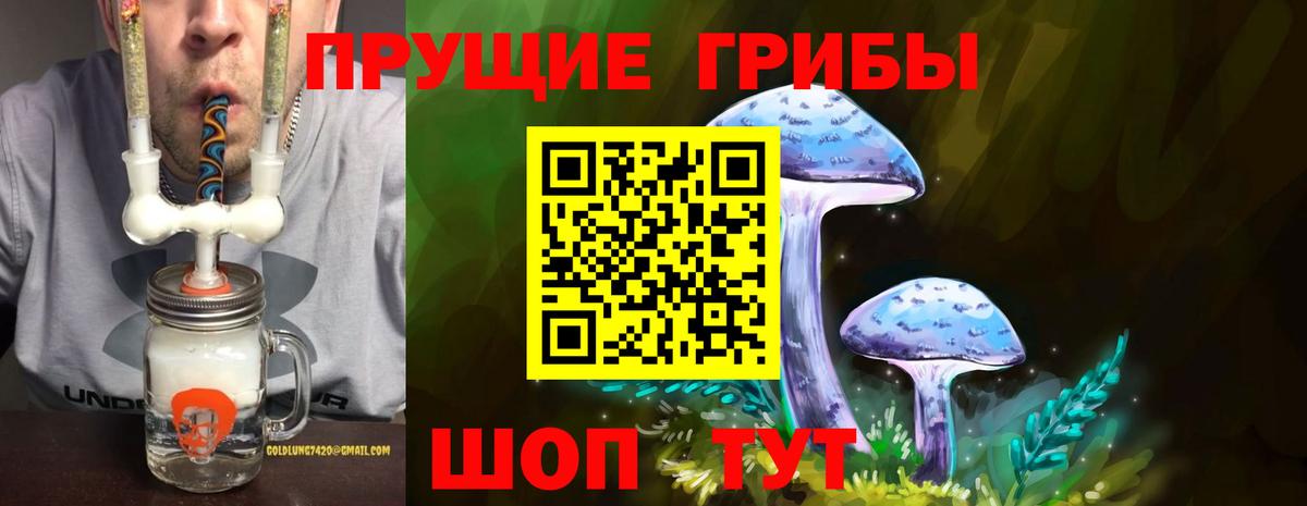 Галлюциногенные грибы Cubensis  Вход с VPN  Аксай  Галлюциногенные грибы Psilocybine cubensis 